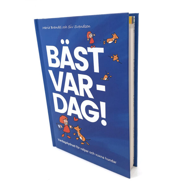 Bäst var dag